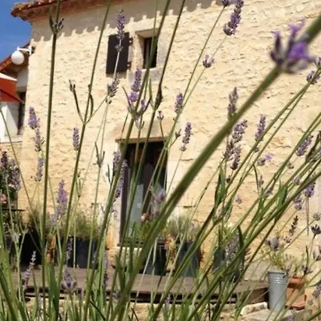 Authentique Avec Cheminee, Terrasse Et Wifi En Charente - Fr-1-653-119 乡村民宿 Rivieres (Charente)
